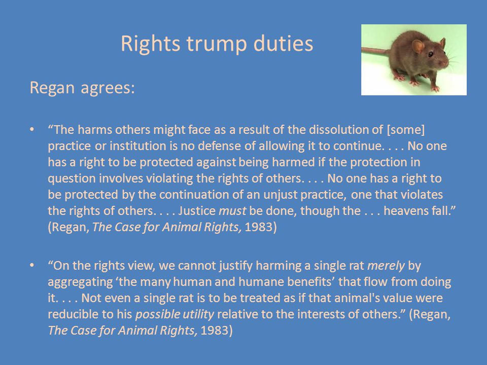 Animal rights philosophy essay prize